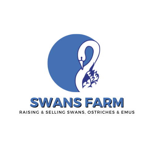 Swan Farms LLC