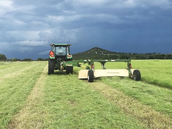 Quality Fertilized Coastal Horse Hay - Image 2