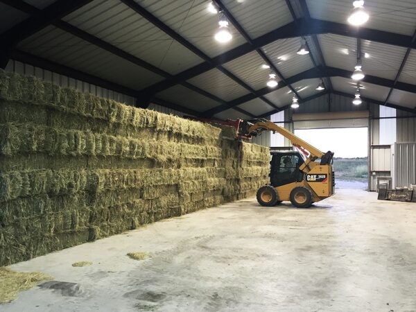 Quality Fertilized Coastal Horse Hay - Image 5