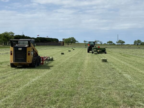 Quality Fertilized Coastal Horse Hay - Image 8