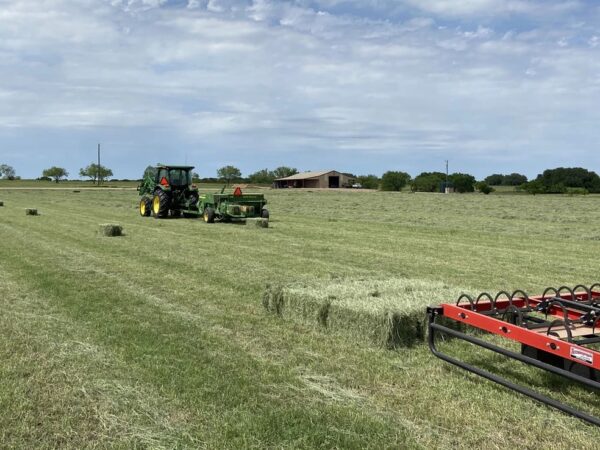 Quality Fertilized Coastal Horse Hay